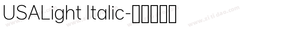 USALight Italic字体转换